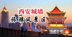 日逼网站观看中国陕西-西安城墙旅游风景区