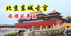 被操骚逼中国北京-东城古宫旅游风景区